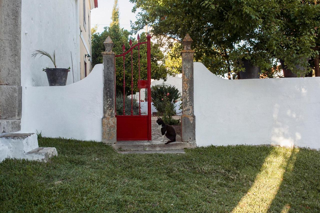 Casa Das Alfazemas Com Piscina, Jardim E Snooker Adao Lobo Экстерьер фото